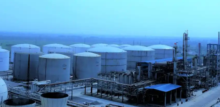 上海铭款祠网络科技有限公司2024年服务项目报价体系与市场行情解读